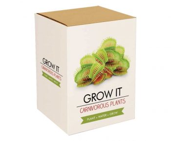 Kit Carnivox plantes carnivores insolites à faire pousser