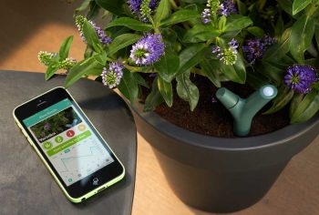 Capteur pour plantes insolite Parrot Flower Power